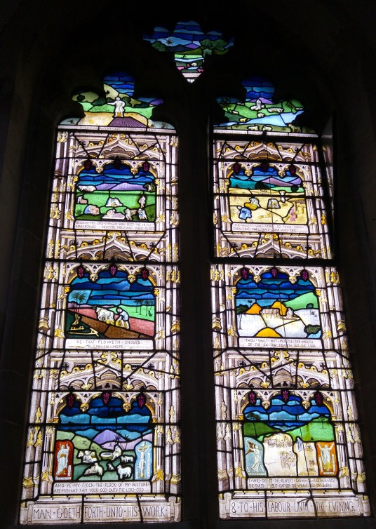 20151213_101140_HDR (2).jpg